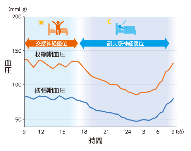 血圧の日内変動