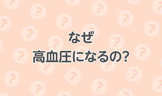 なぜ高血圧になるの？