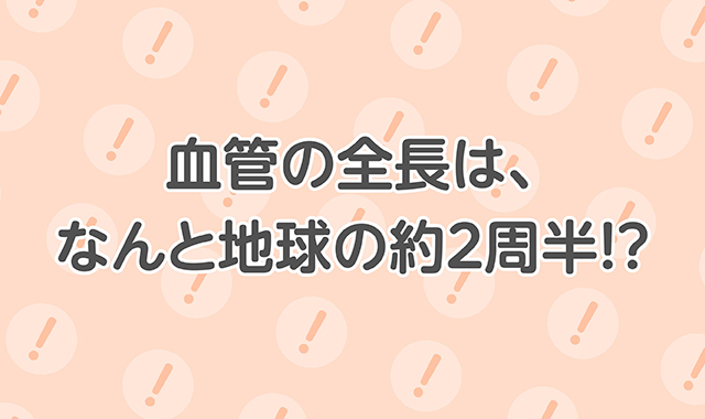 血管の全長は、なんと地球の約2周半！？