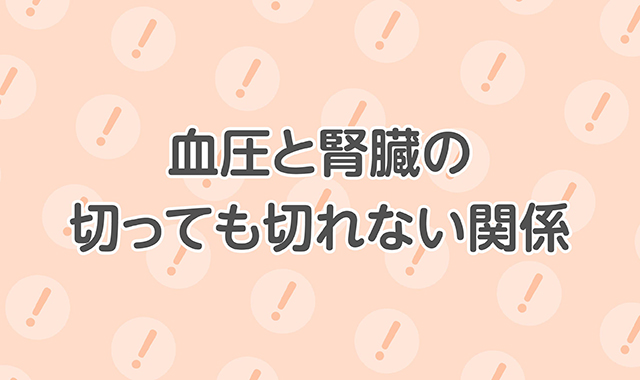 血圧と腎臓の切っても切れない関係